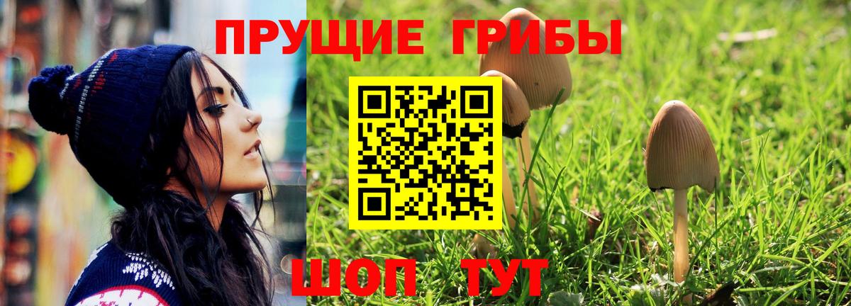 даркнет сайт  Вход с VPN  Рославль  Галлюциногенные грибы мухоморы 